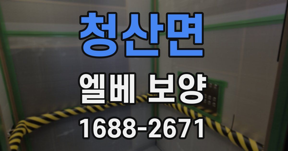 청산면 엘베 보양