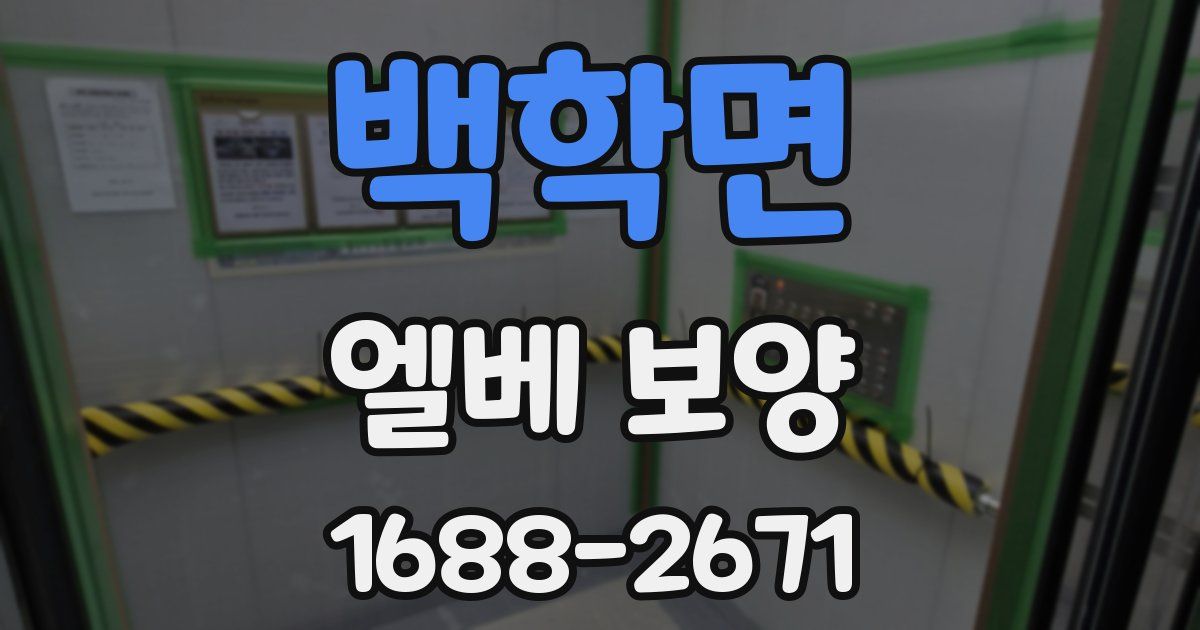 백학면 엘베 보양