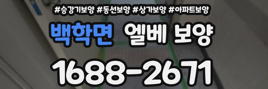 백학면 엘베 보양