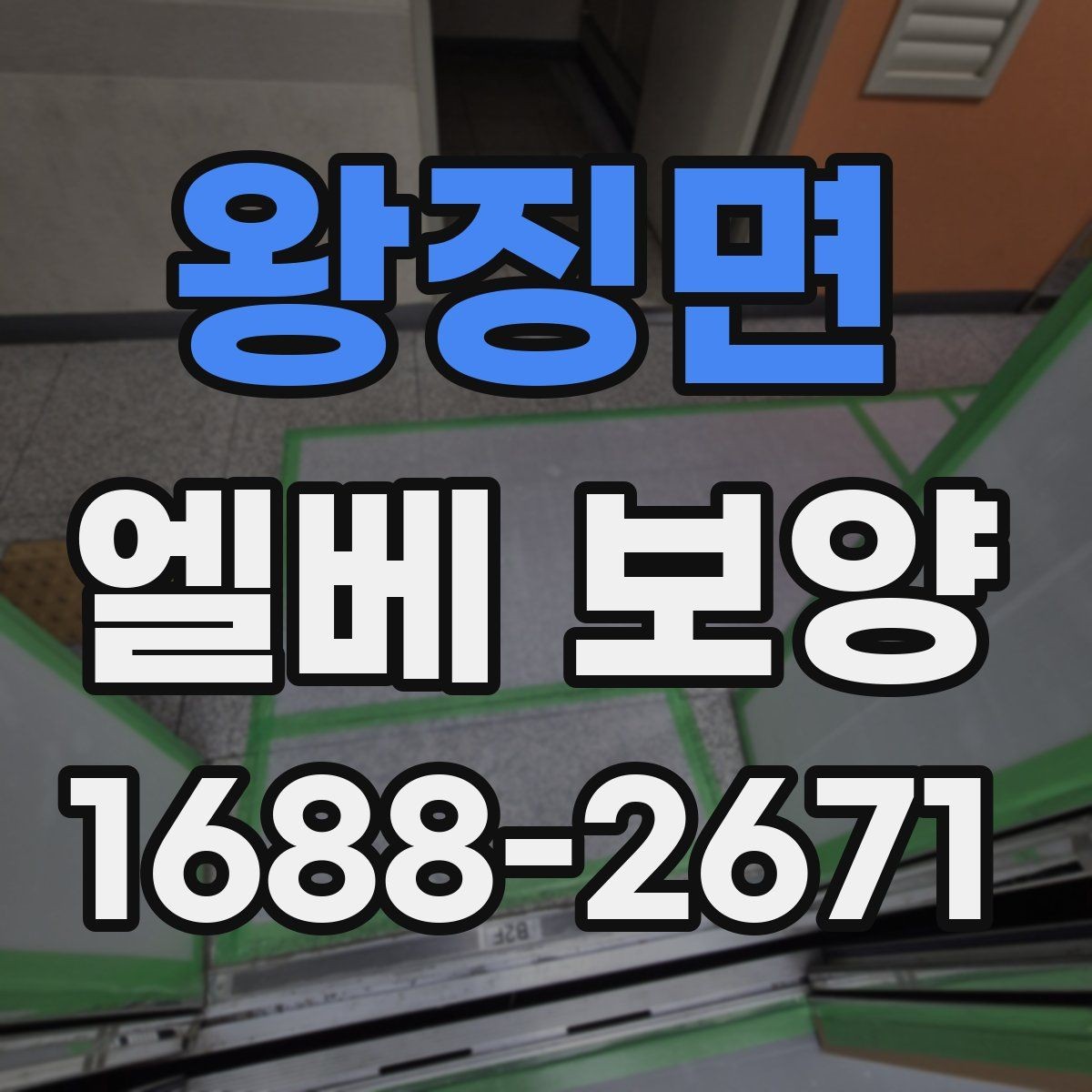 왕징면 엘베 보양 사용 제한이 필요한 구간과 범위 정리