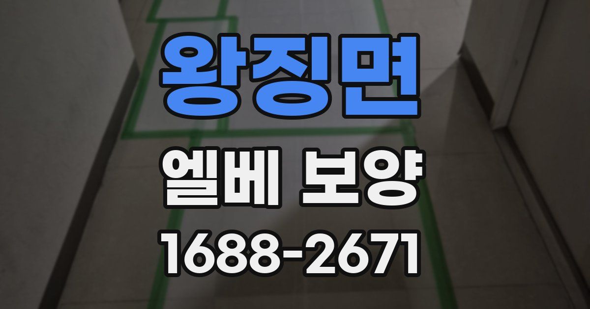 왕징면 엘베 보양