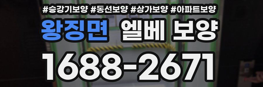 왕징면 엘베 보양