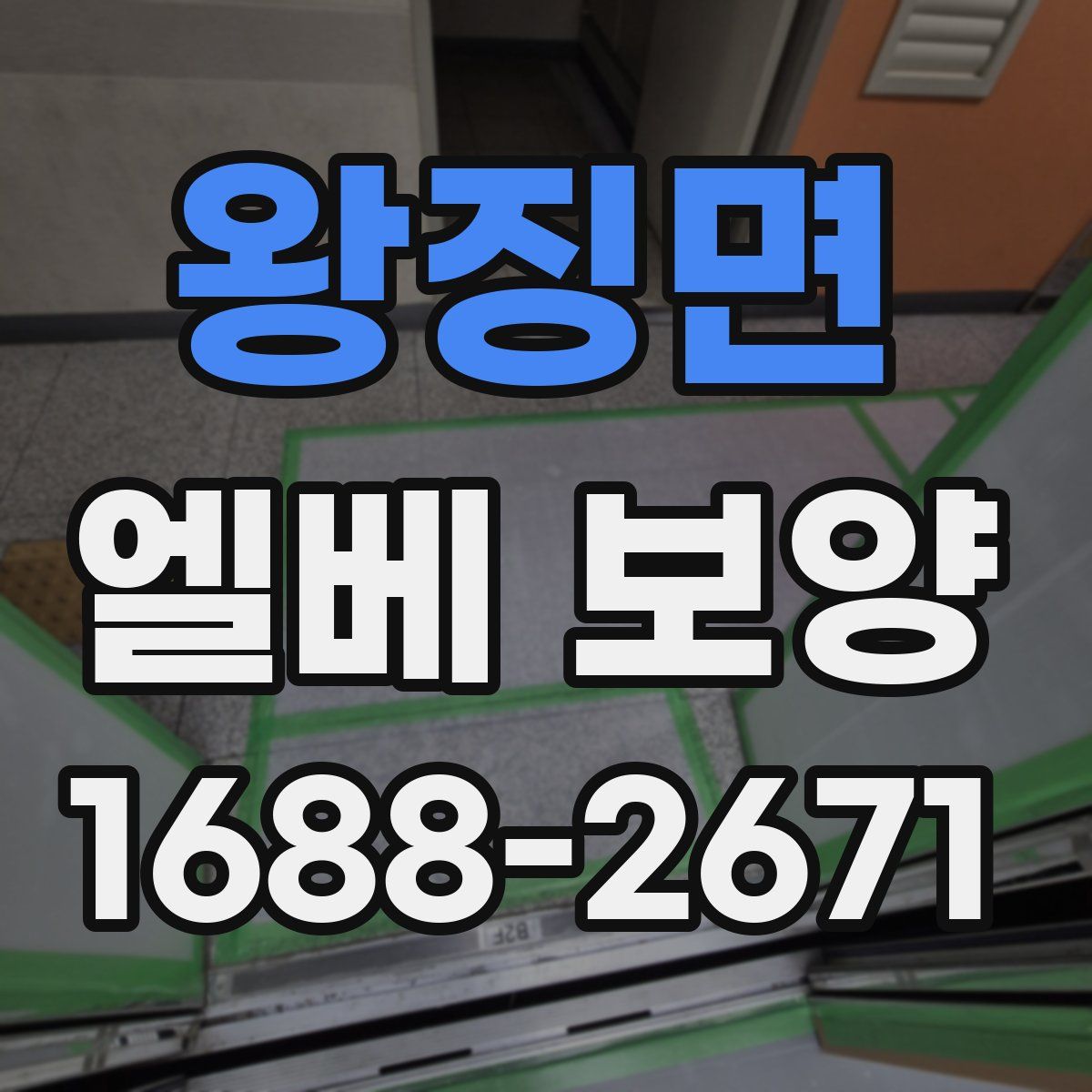 왕징면 엘베 보양