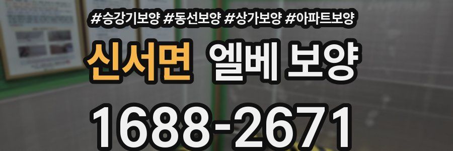 신서면 엘베 보양