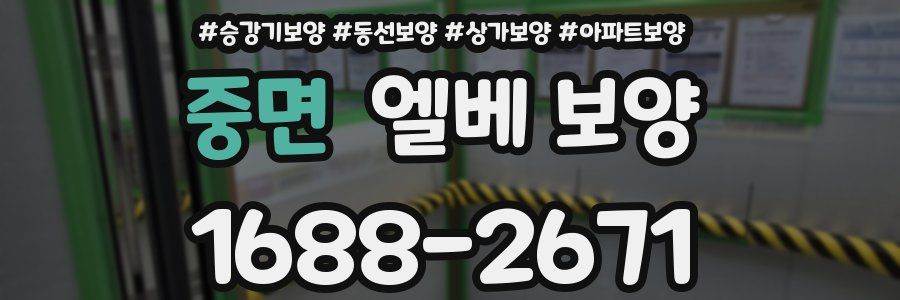 중면 엘베 보양