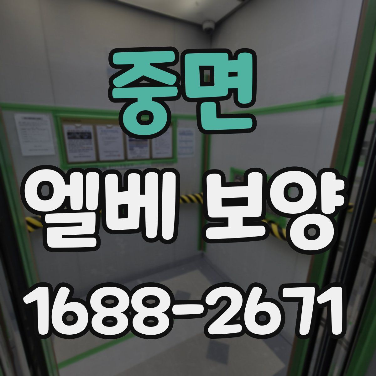 중면 엘베 보양