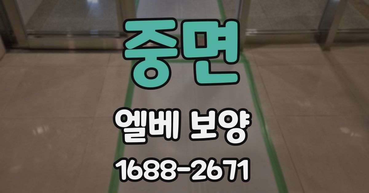 중면 엘베 보양