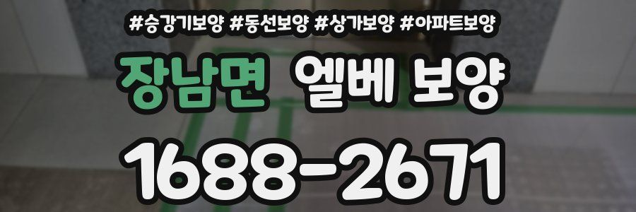 장남면 엘베 보양