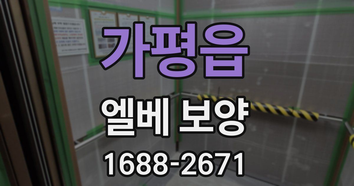 가평읍 엘베 보양
