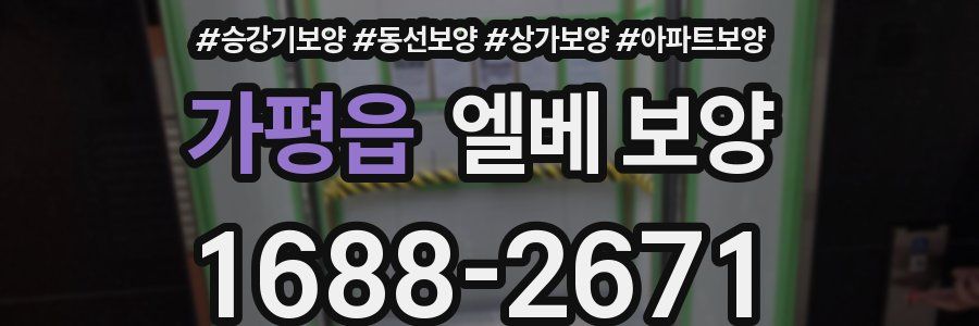 가평읍 엘베 보양