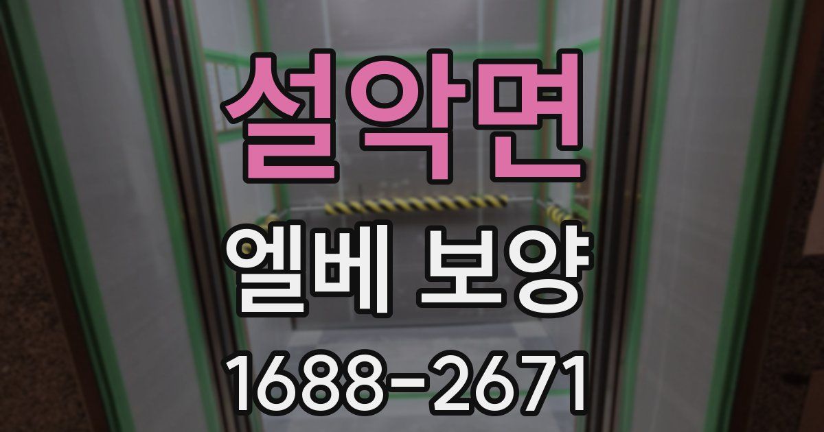 설악면 엘베 보양