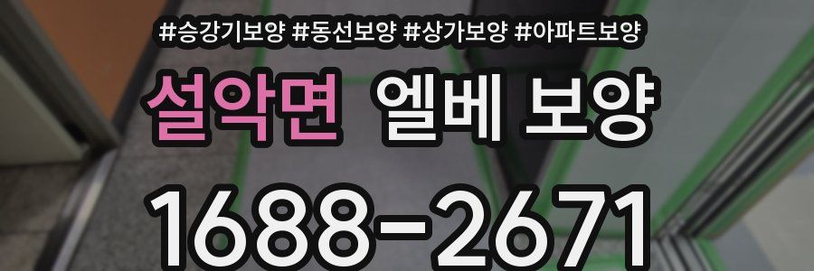 설악면 엘베 보양
