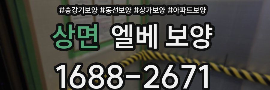 상면 엘베 보양
