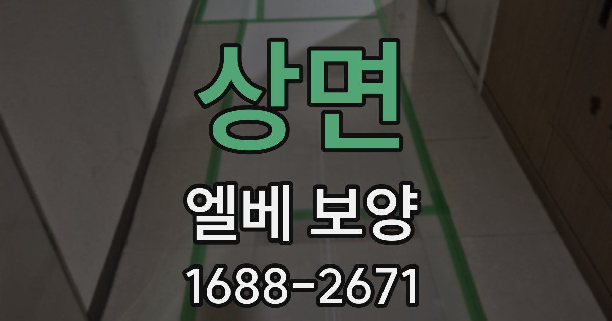 상면 엘베 보양
