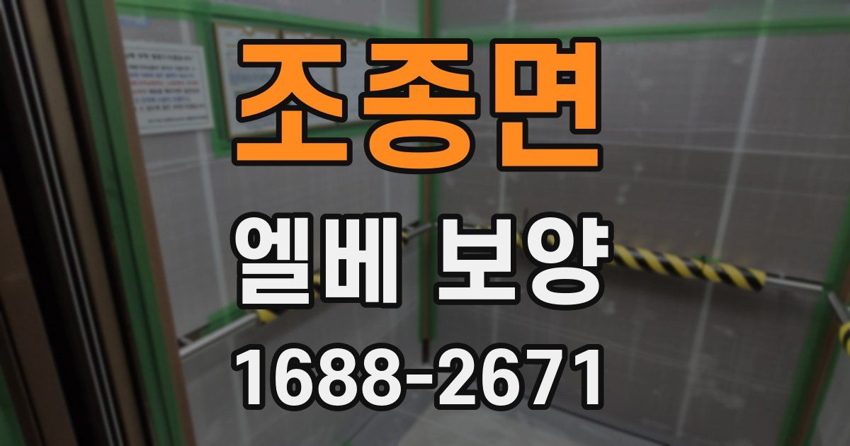 조종면 엘베 보양