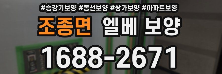 조종면 엘베 보양