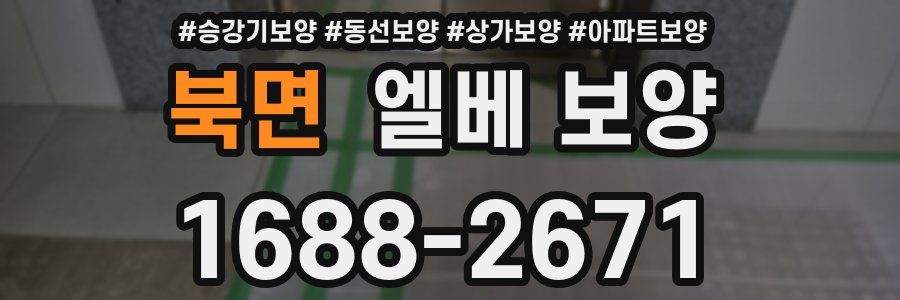 북면 엘베 보양
