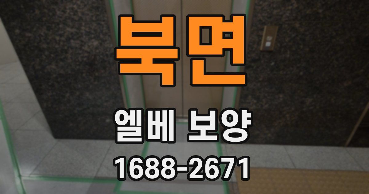 북면 엘베 보양