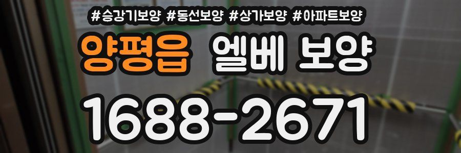 양평읍 엘베 보양