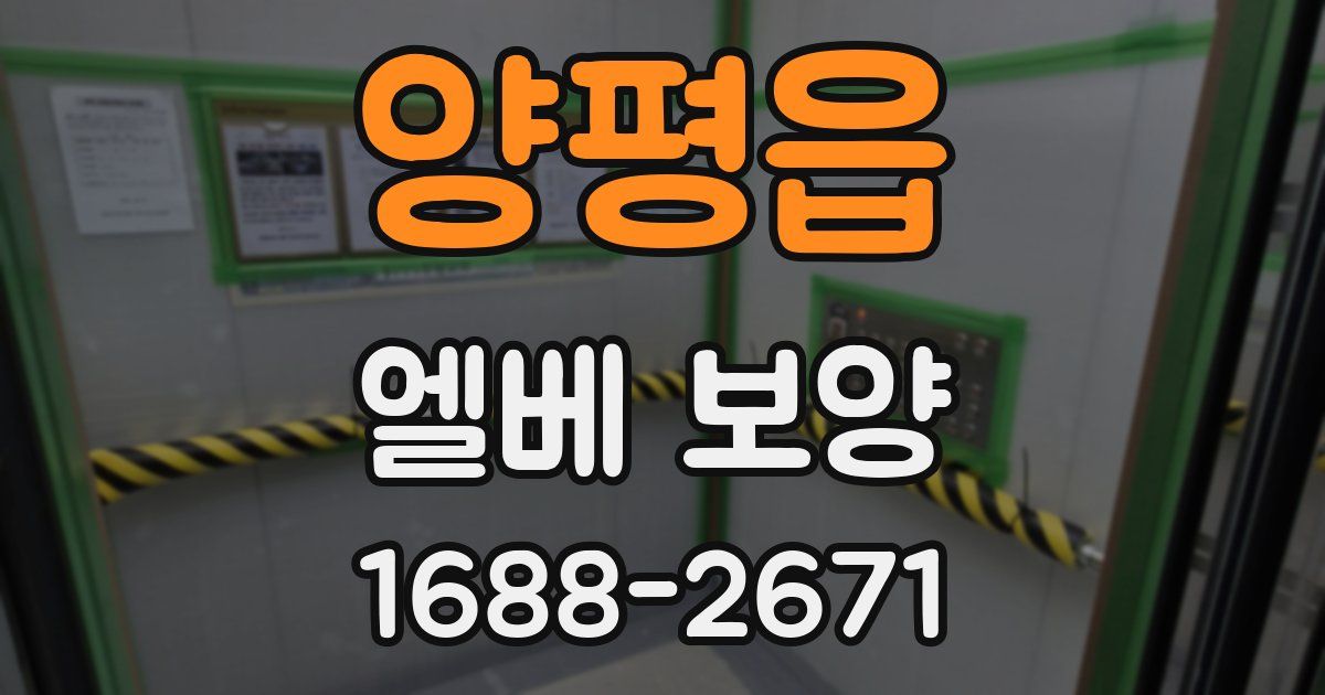 양평읍 엘베 보양