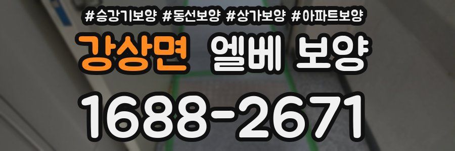 강상면 엘베 보양