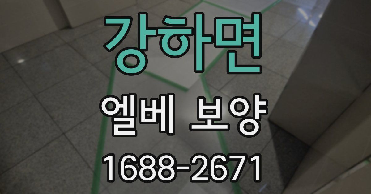 강하면 엘베 보양