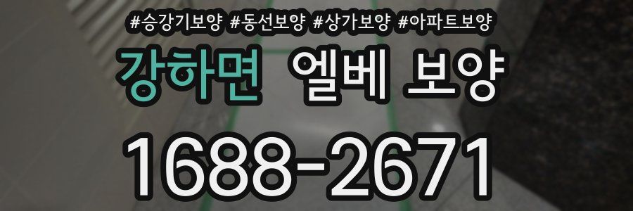 강하면 엘베 보양