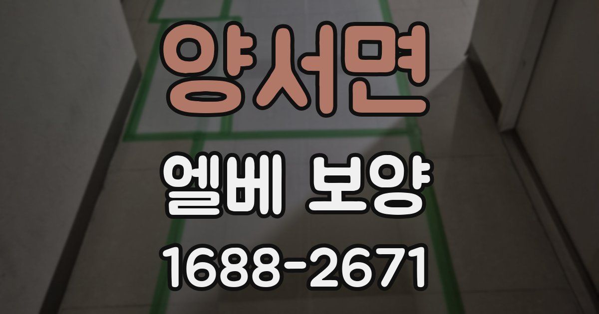 양서면 엘베 보양