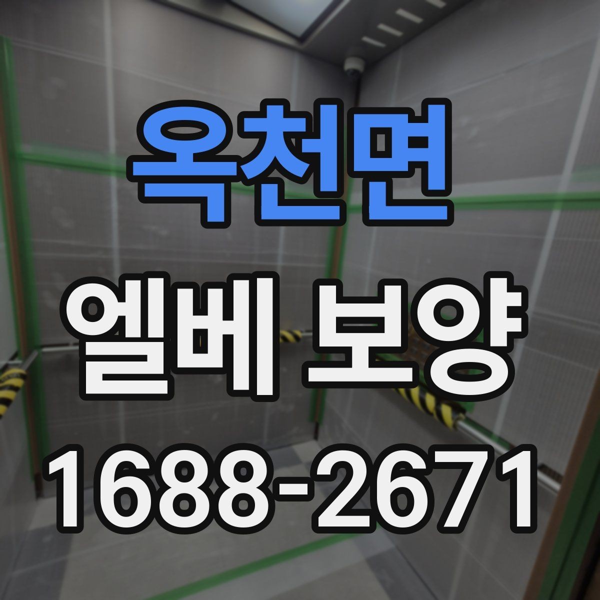 옥천면 엘베 보양 보양 사진 기록이 필요한 현장 운영 포인트