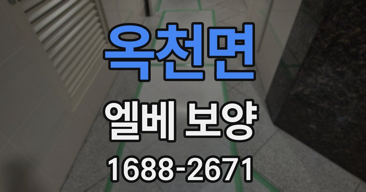 옥천면 엘베 보양