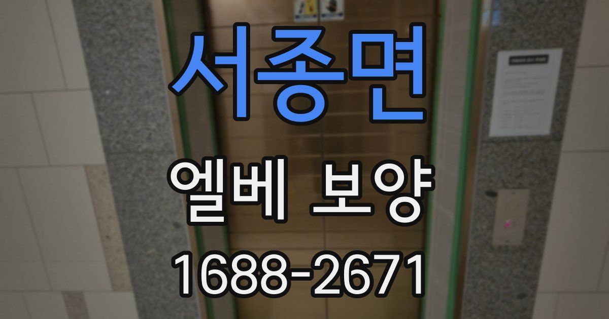 서종면 엘베 보양