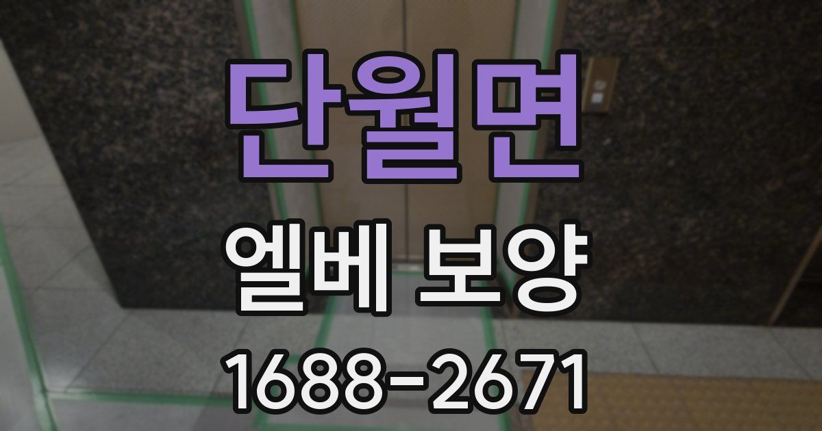 단월면 엘베 보양