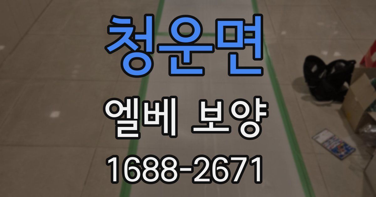 청운면 엘베 보양