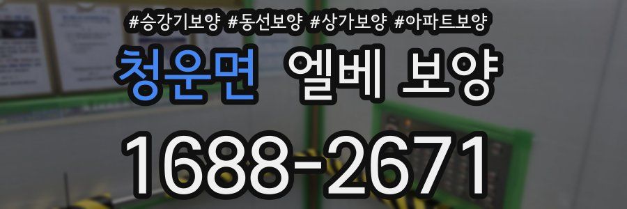 청운면 엘베 보양
