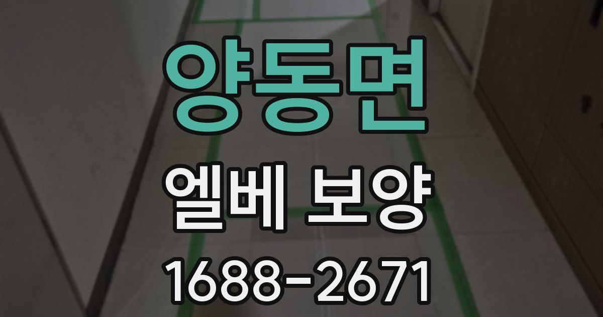 양동면 엘베 보양