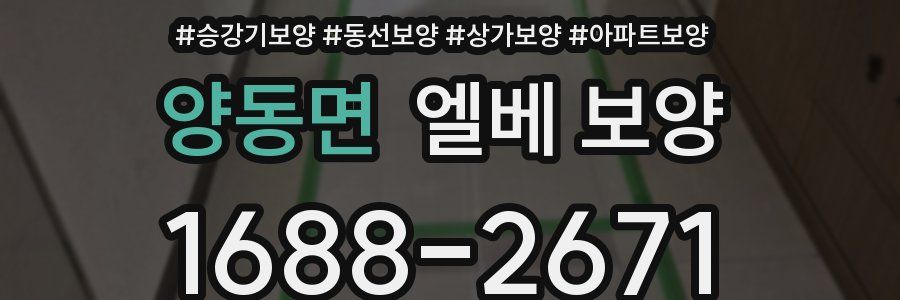 양동면 엘베 보양