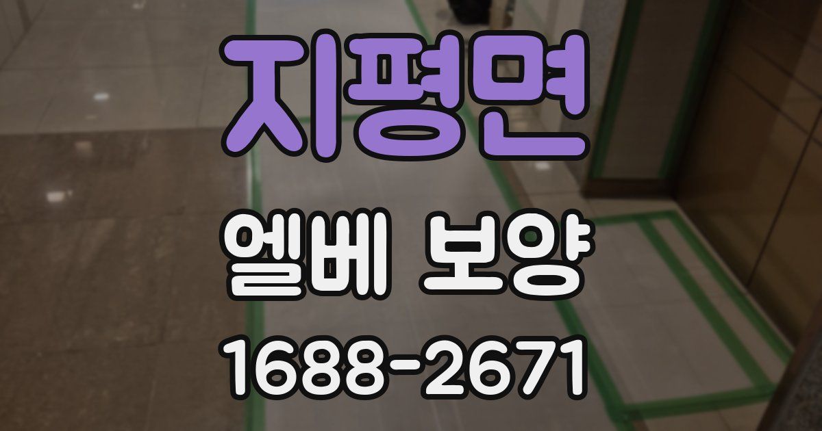 지평면 엘베 보양