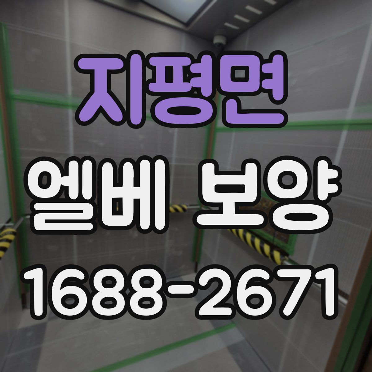 지평면 엘베 보양