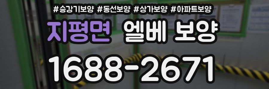지평면 엘베 보양