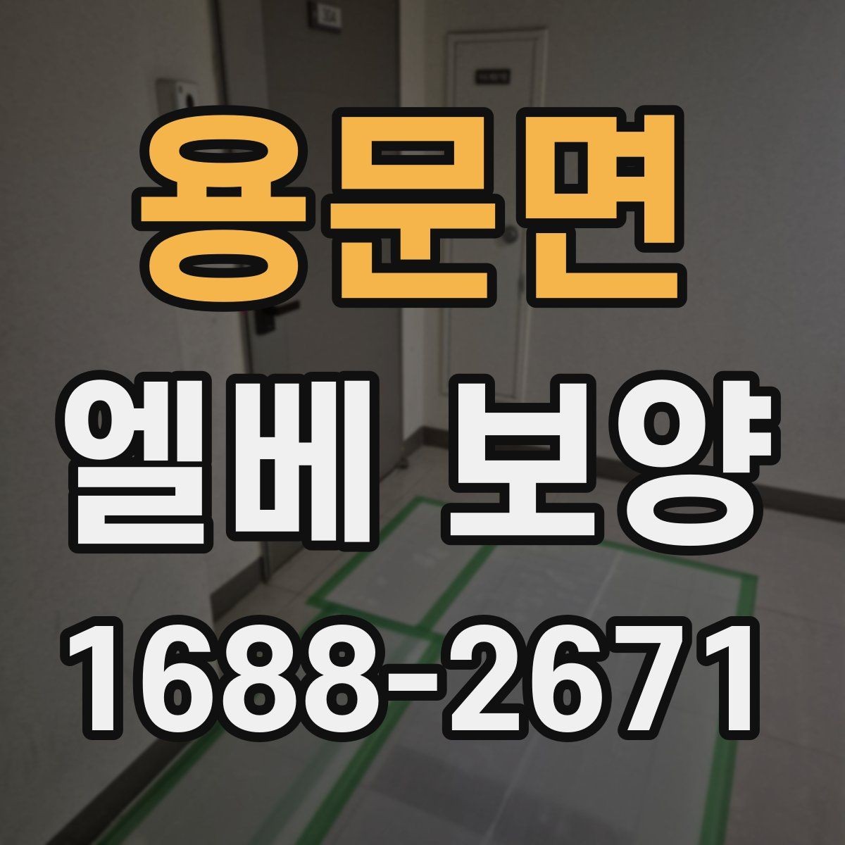 용문면 엘베 보양 비가 잦은 시기 오염 번짐을 막는 요령