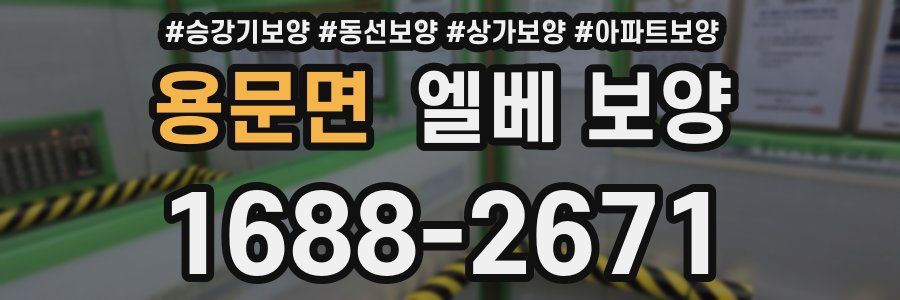용문면 엘베 보양