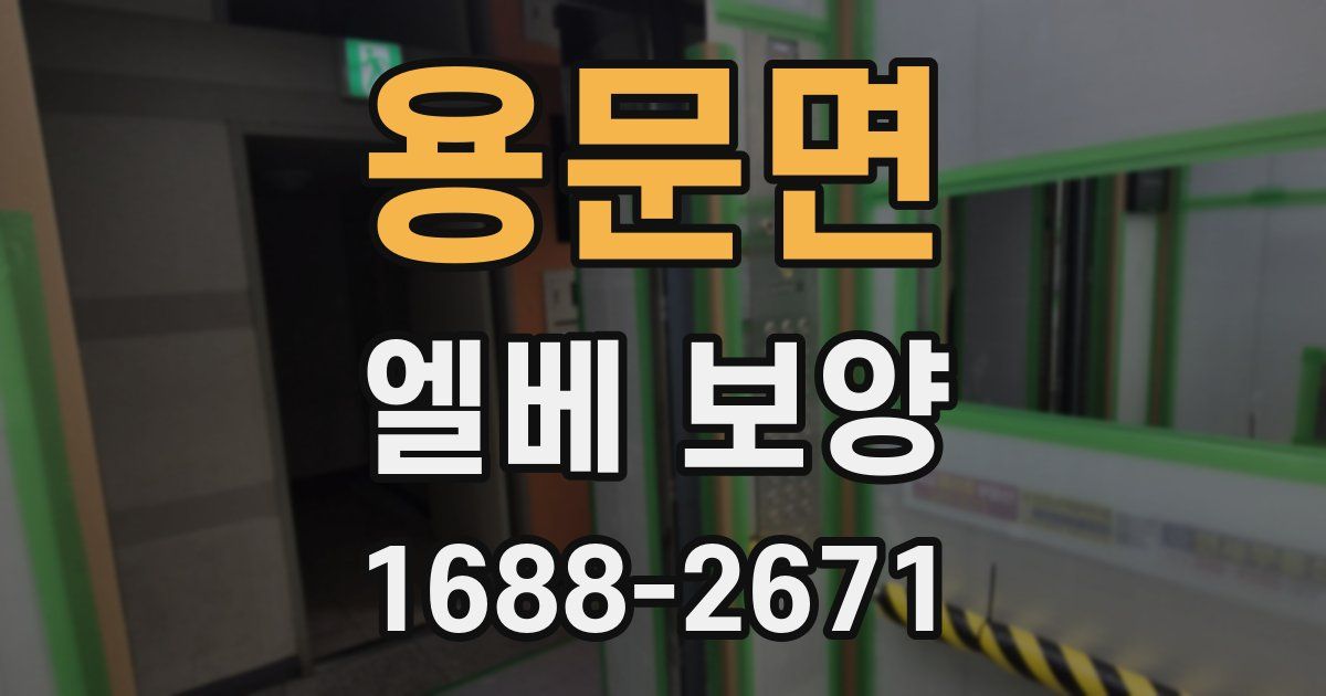 용문면 엘베 보양