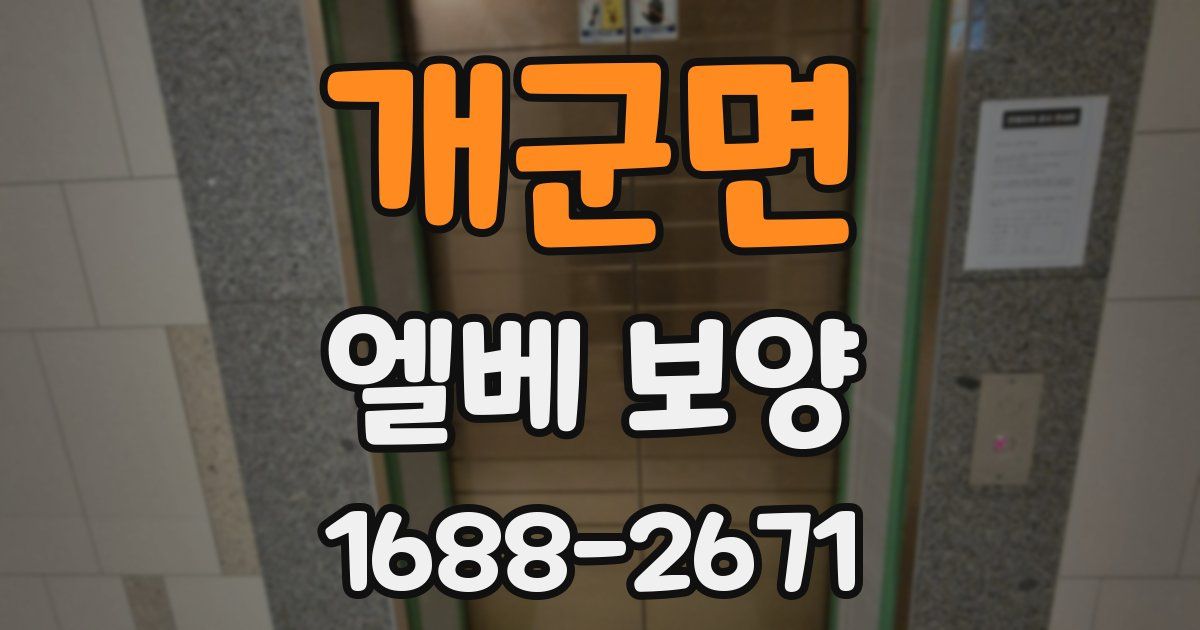 개군면 엘베 보양