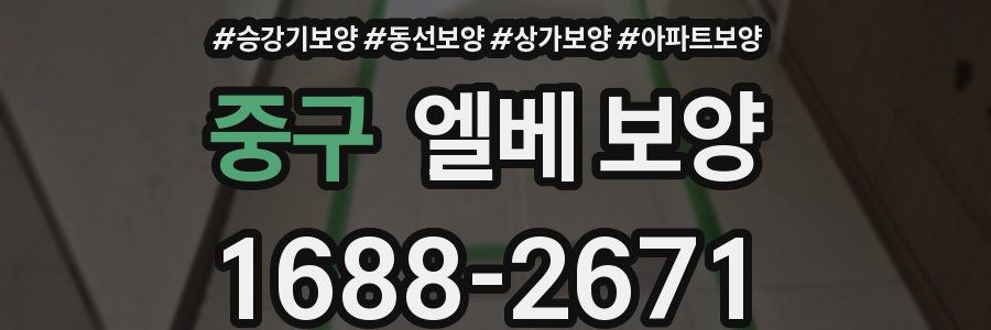 중구 엘베 보양