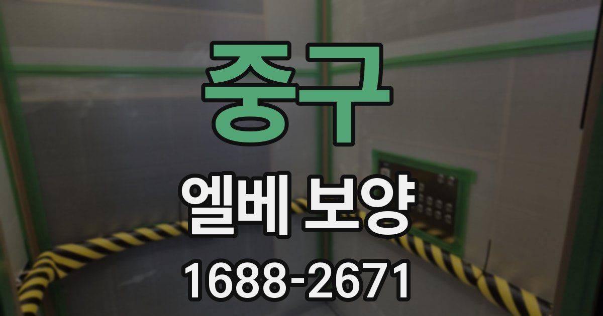 중구 엘베 보양