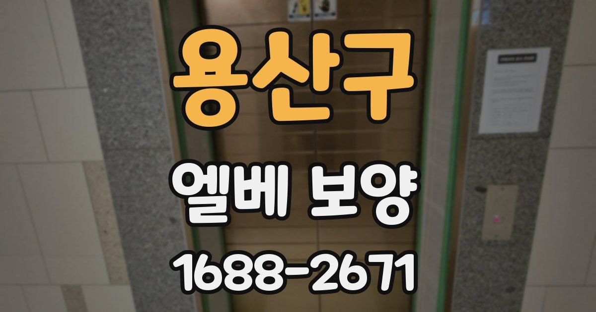 용산구 엘베 보양