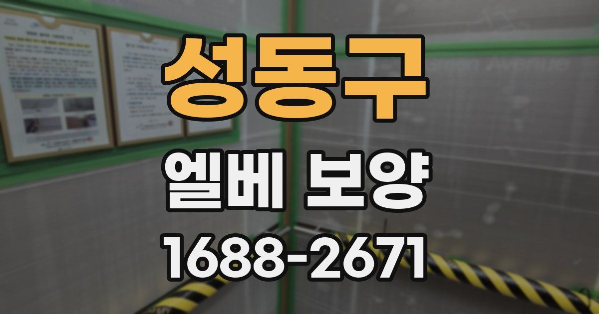 성동구 엘베 보양