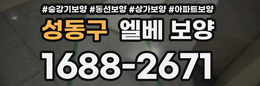 성동구 엘베 보양