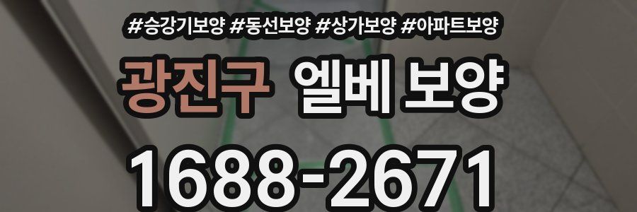 광진구 엘베 보양