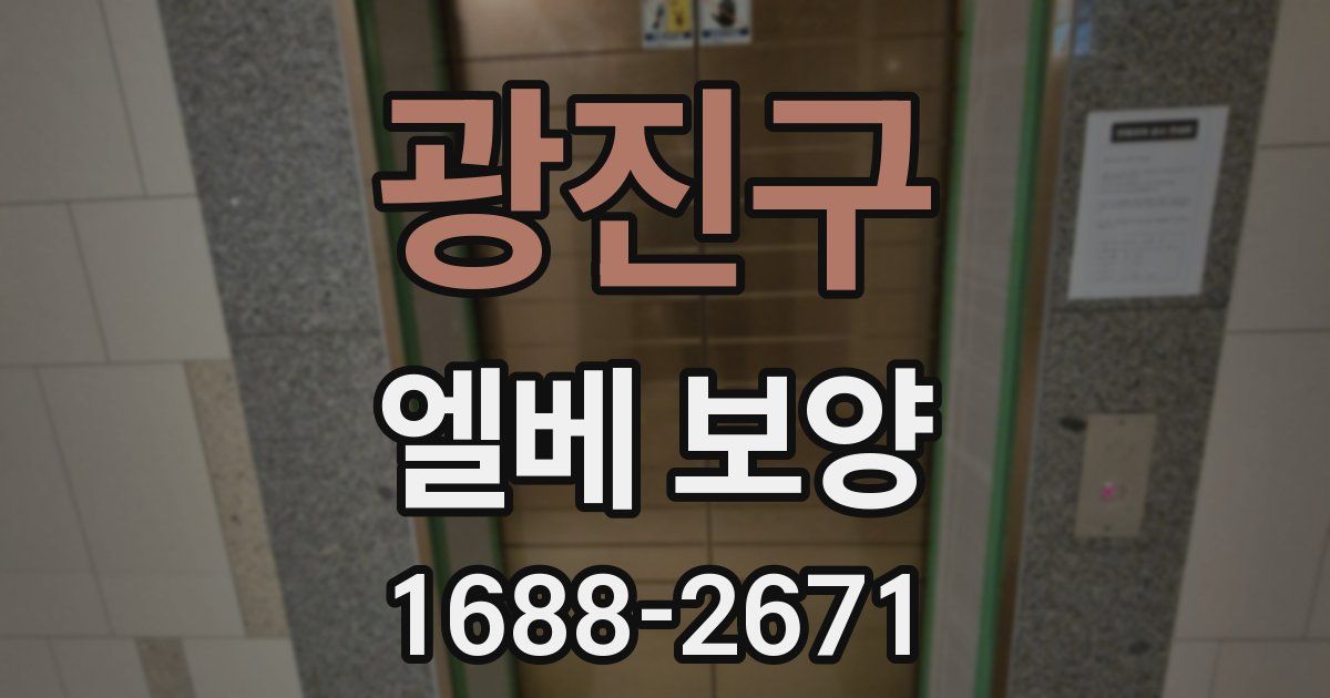 광진구 엘베 보양